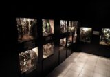 Aquarium i Muzeum Przyrodnicze w Krakowie